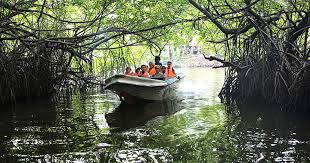 Free boat ride